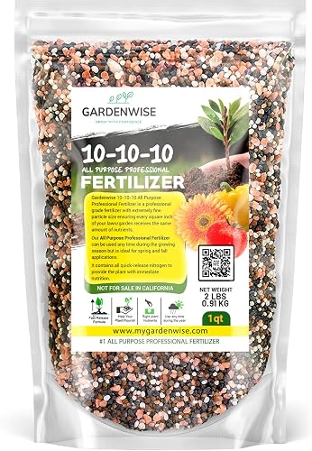 10-10-10 Plant Fertilizer Slow Release - 10 10 10 All Purpose Granular Garden Fertilizer for Vegetables, Tomato, Arborvitae, Shrubs, Rose, Flowers, Fruit, Fig Trees (1 Quart)