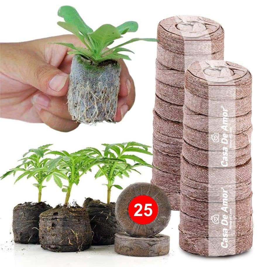 See full amazon price history chart for Coir Seed Germination Kit for Gardening Seedling Tray (4x4x1.5 cm) (Pack of 25) Coir Seed Germination Kit for Gardening Seedling Tray (4x4x1.5 cm) (Pack of 25) (B0D86V13VY) Amazon Price History, Amazon Price Tracker