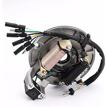 2 Coil Stator Ignition Magneto Plate for 50cc 70cc 90cc 110cc 125cc Pit Dirt Bike Lifan YX Taotao SSR Coolster Kick Start Replacement