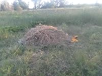 Review Image by Kenneth C. Kenneth C.