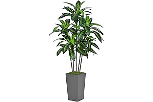 Stunning Artificial Dracaena Tree: A Stroke of Nature Indoors