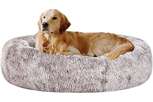 Coohom mrfluffyfriend Anxiety Bed