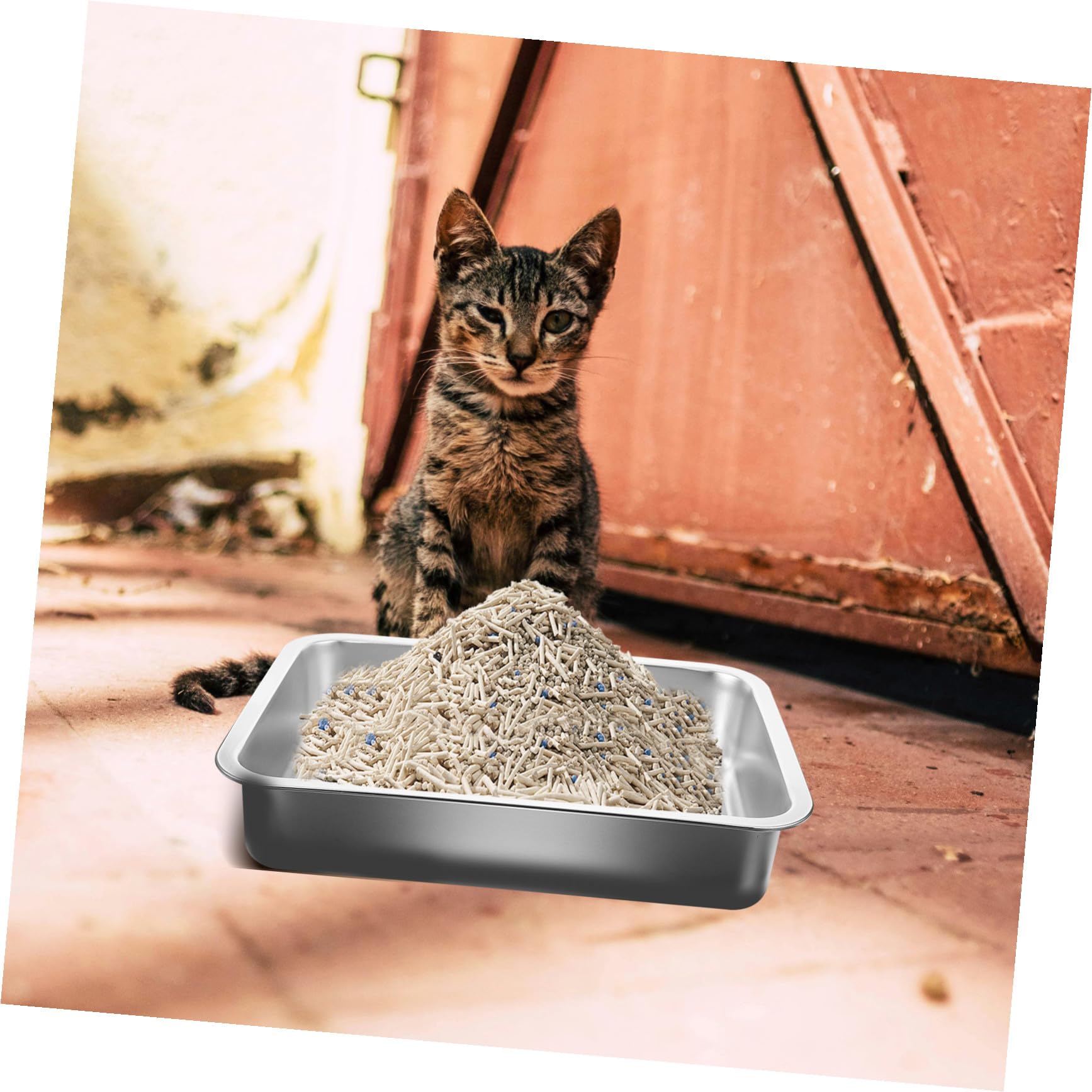 Abaodam Edelstahl Katzentoilette Offen 36x27x7cm Katzenklo ohne Löcher Rostfrei Große Katzentoilette für Kätzchen und Reisen