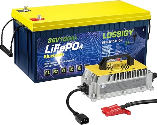 LOSSIGY Batería LiFePO4 de 12 V100 Ah con cargador de batería de litio de 14.6 V10A, BMS de 100 A, más de 4000 ciclos, arranque de 0 V y carga