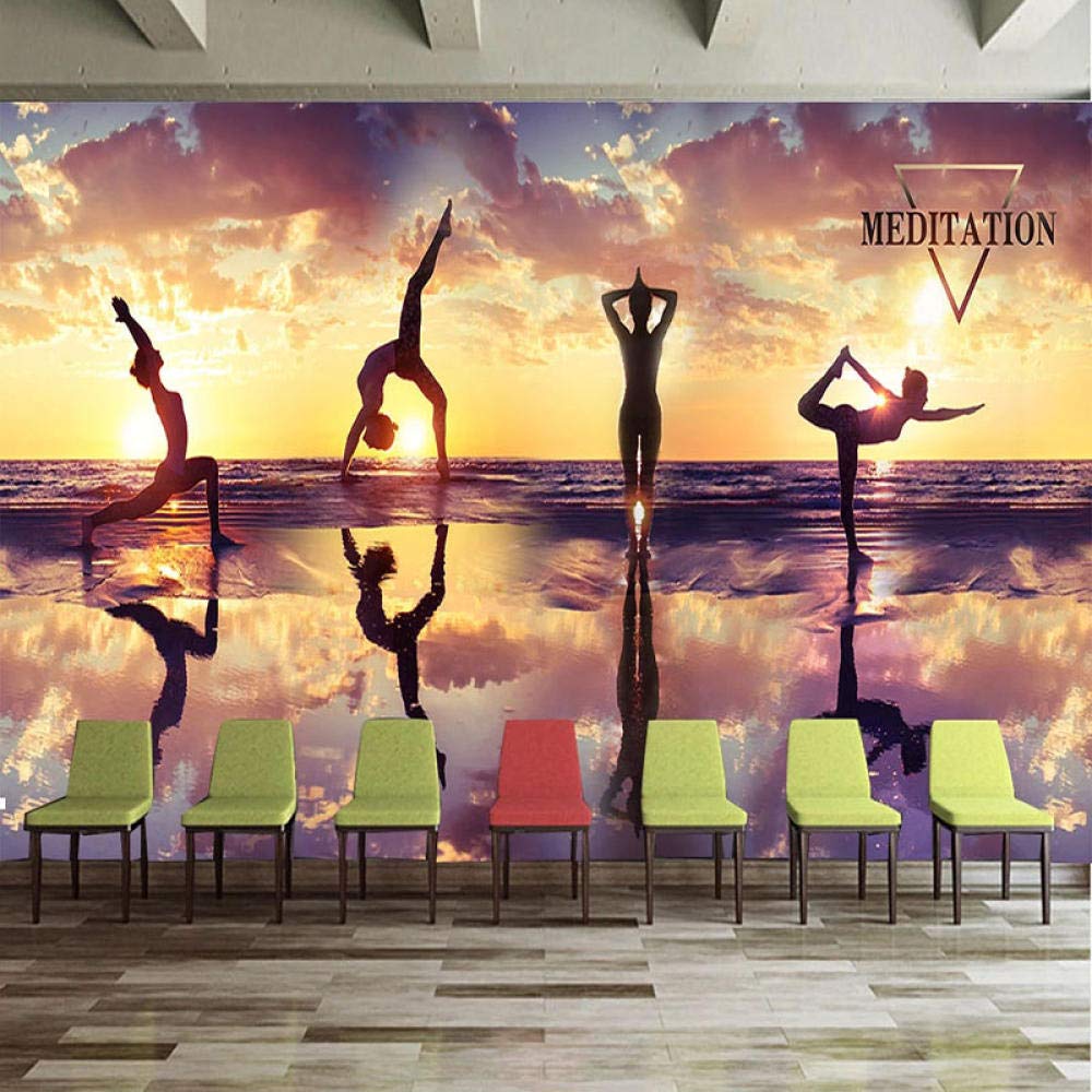 Papier peint 3D salle de danse et de fitness aménagement mural grand format 350x245