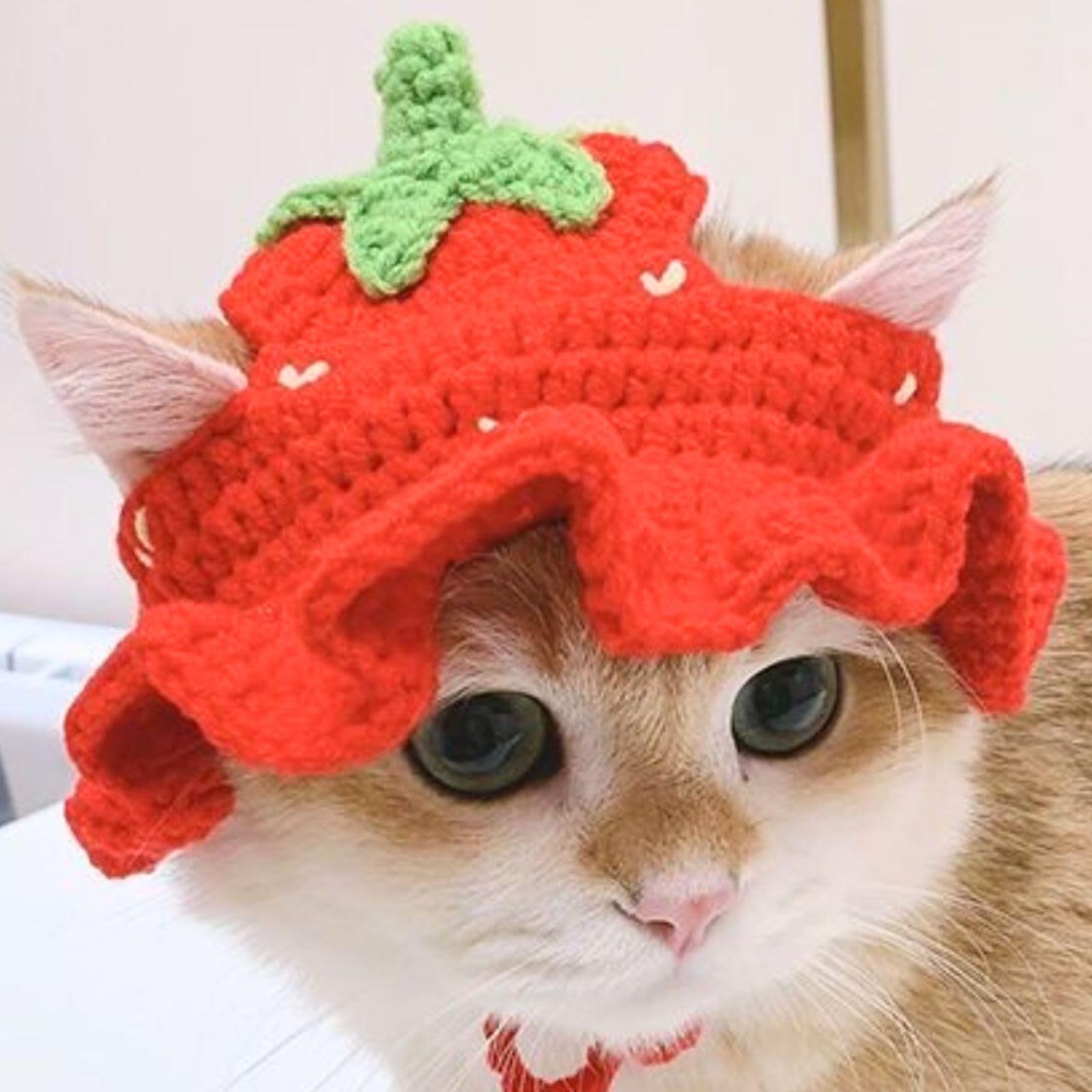 Amazon | Leap Raupe 猫 被り物 かぶりもの 帽子 コスプレ 苺 イチゴ