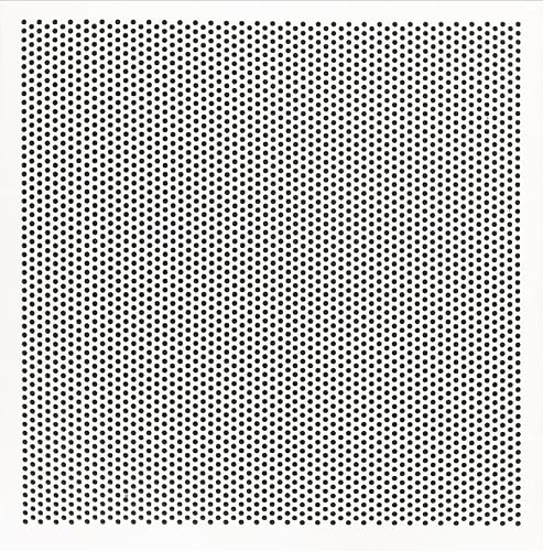 1800ceiling 2'x2' WhitePlastic Perforated Tile with 1/4" Holes (3)