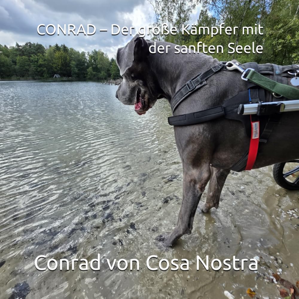 CONRAD – Der große Kämpfer mit der sanften Seele