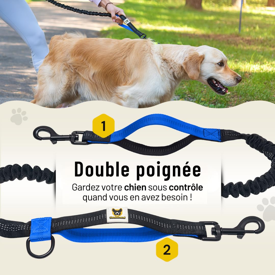 Hundefreund Laisse de Jogging avec Ceinture | Laisse pour Canicross de 120 à 180 cm pour Chiens de Taille Moyenne à Grande | Faites du Vélo, de la Course à Pied et de la Randonnée aux Mains Libres