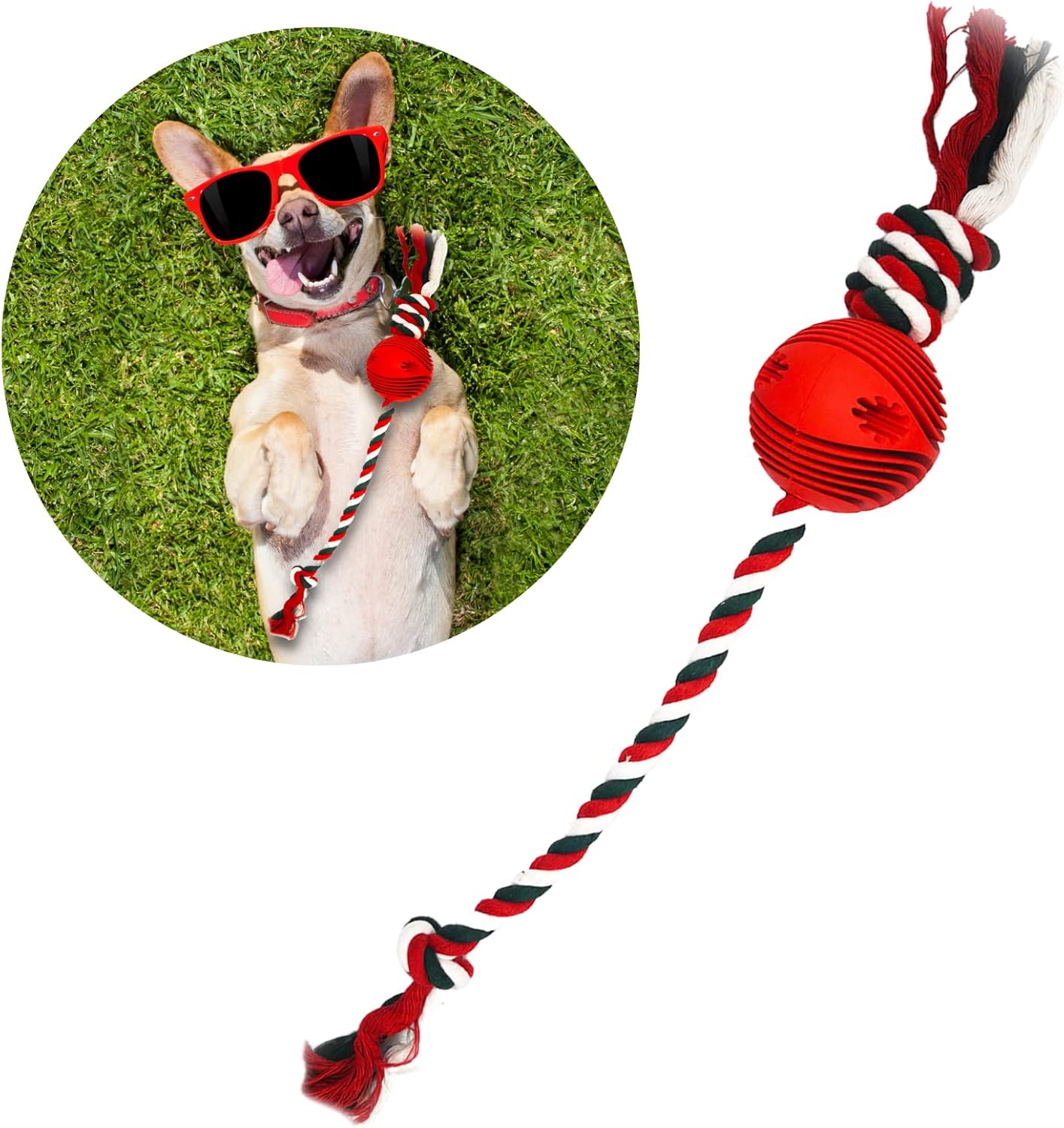 hide and seek squirrels