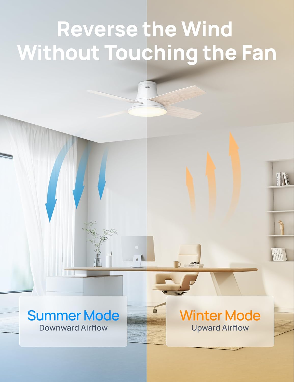 https://m.media-amazon.com/images/I/71pU9Eeaq9L._AC_SL1500_.jpg