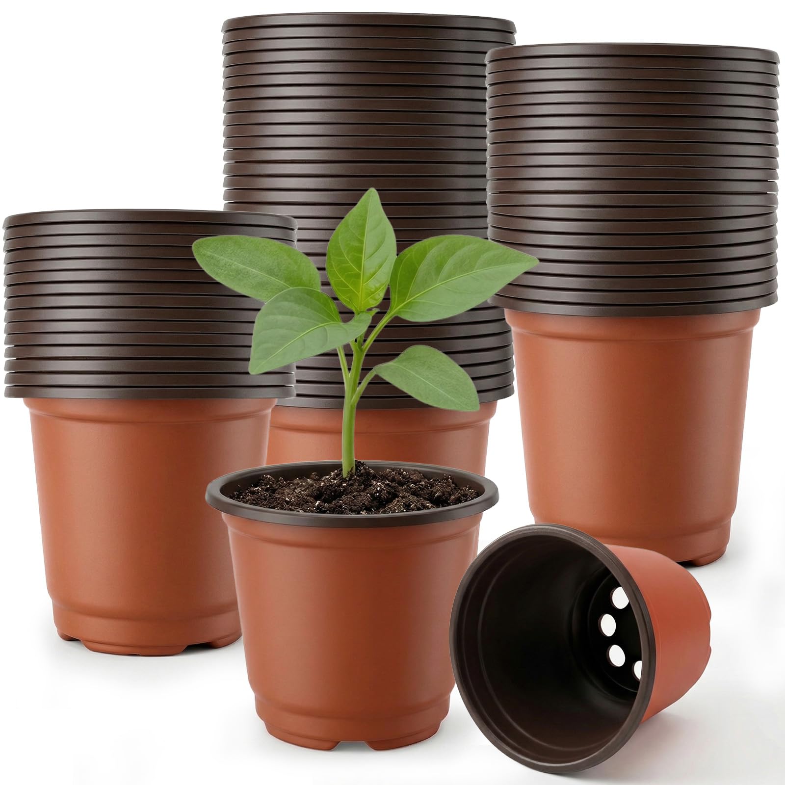 100 Pieces Pot Semis Rond