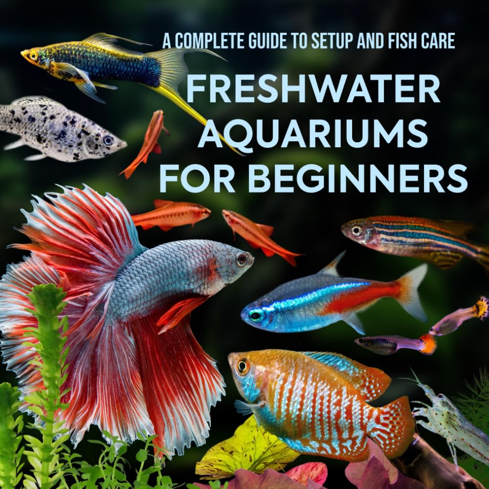 Freshwater Aquariums for Beginners: A Complete Guide to Setup and Fish Care