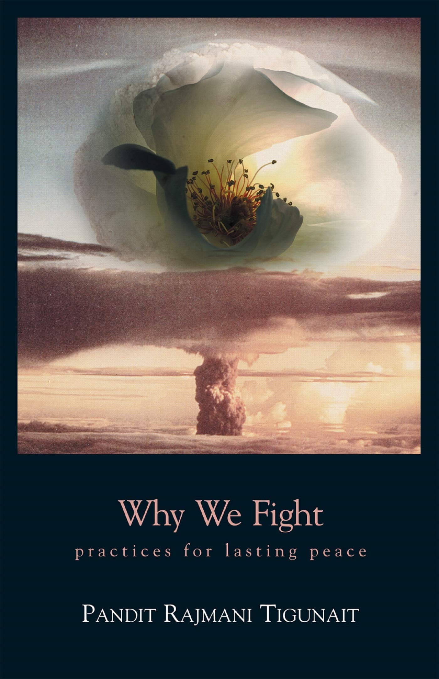 Why We Fight: Practices for Lasting Peace