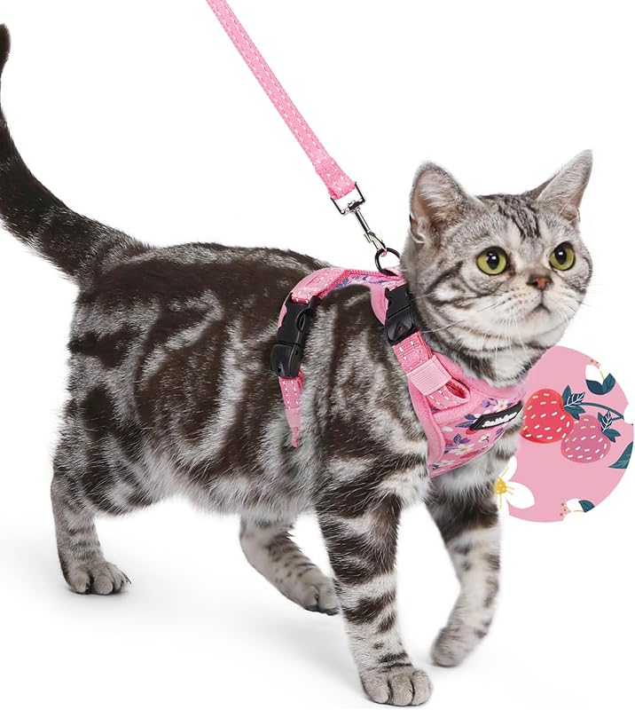 Peitoral para Gatos com Guia, Ajustável e com Fivela no Pescoço rabbitgoo Berry Bloom