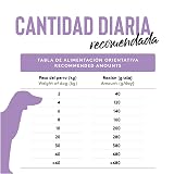 Ver la foto 7