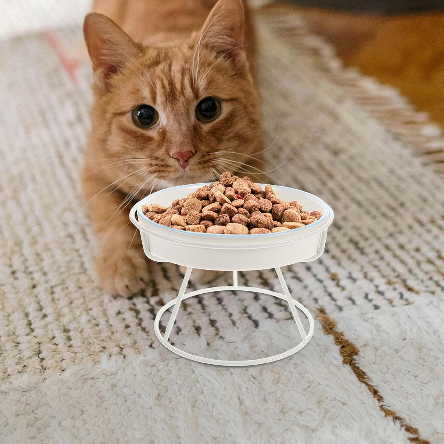 Cabilock Ceramic Cat Feeder Slow Eating Bowl with Raised Stand, Elevated Pet Feeding Dish for Indoor Cats and Small Dogs, Anti-Choke Food and Water Bowl, Blue Fish Design and White Elevated