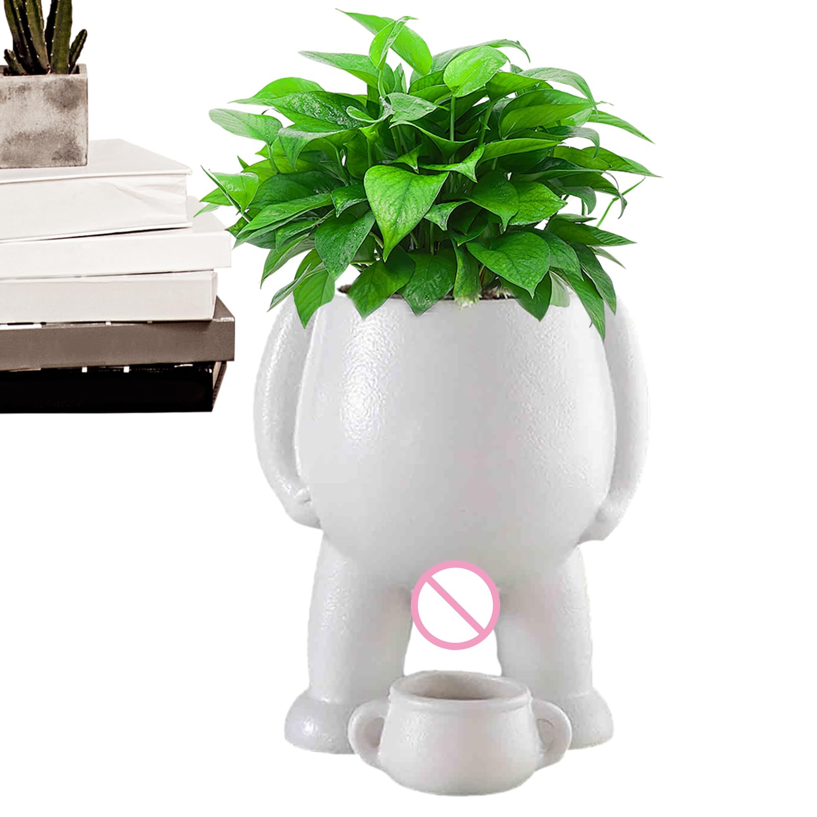 Pot de fleurs avec drainage contre le pourrissement des racines en pot
