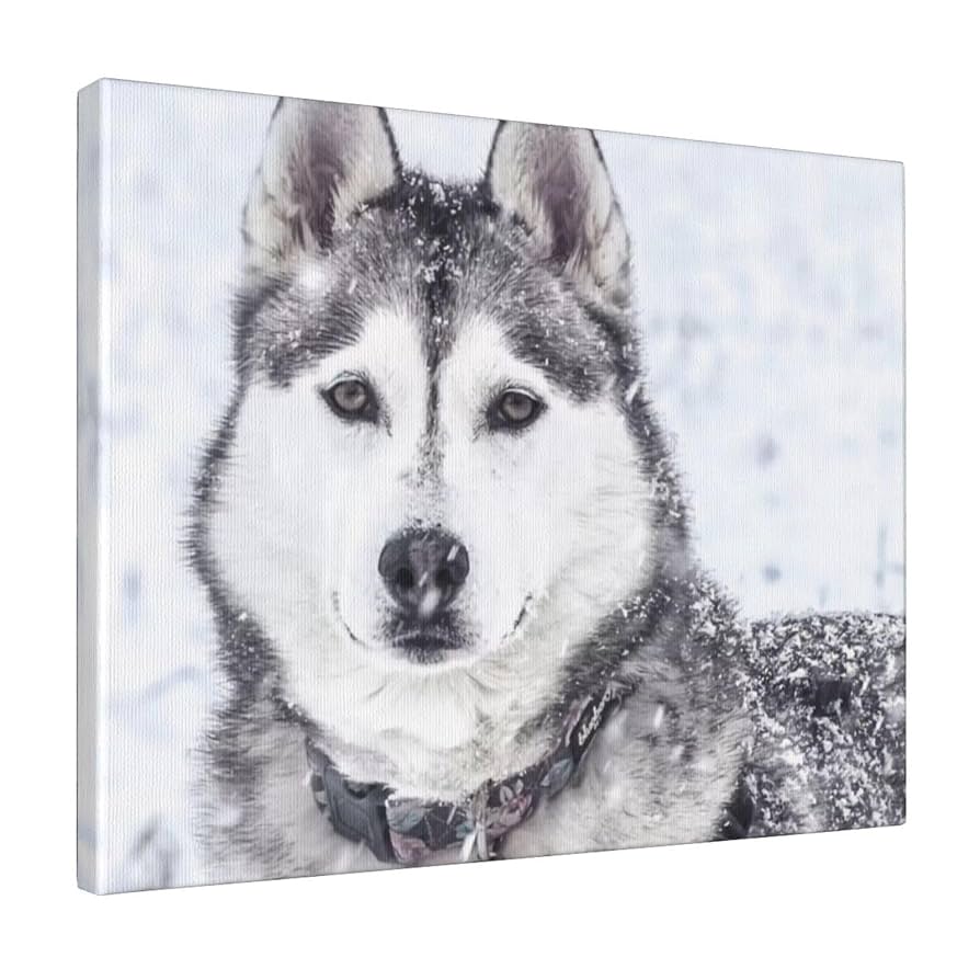 Amazon.co.jp: Chioee アートパネル ポスター 絵画 雪の中