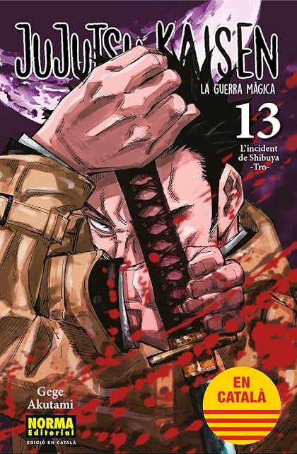 Portada de Jujutsu Kaisen 13