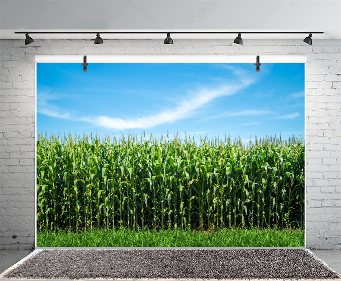 CSFOTO 5x3ft Background For Green Corn Field Maze Photography Backdrop Farmland Corn Field Labyrinth Harvest Autumn Agriculture Rural Scence Countryside Farm Photo Studio Props Polyester Wallpaper - View #3
