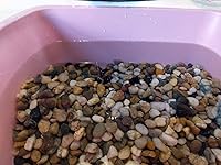 Vista 7 de Voulosimi Piedras de Roca de Río, Grava de Guijarros Mixtos Pulidos Decorativos Naturales, Piedras Decorativas para Exteriores para Acuarios