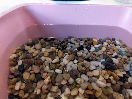 Voulosimi 12 LBS River Rock Stones, Natural Decorative Polished Mixed Pebbles Gravel,Outdoor Decorative Stones for Plant Aquariums, Landscaping, Vase Fillers(Mixed Colors,9 LB)
