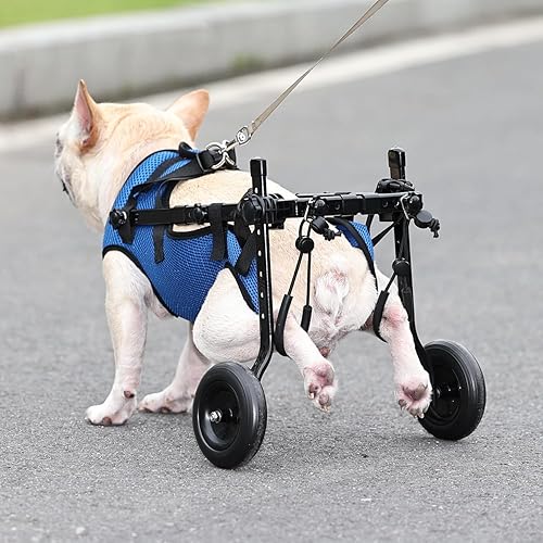 Miniatura 6 de Silla de ruedas para perros pequeños para patas traseras, ayuda de movilidad ajustable para mascotas discapacitadas, soporte para piernas y soporte