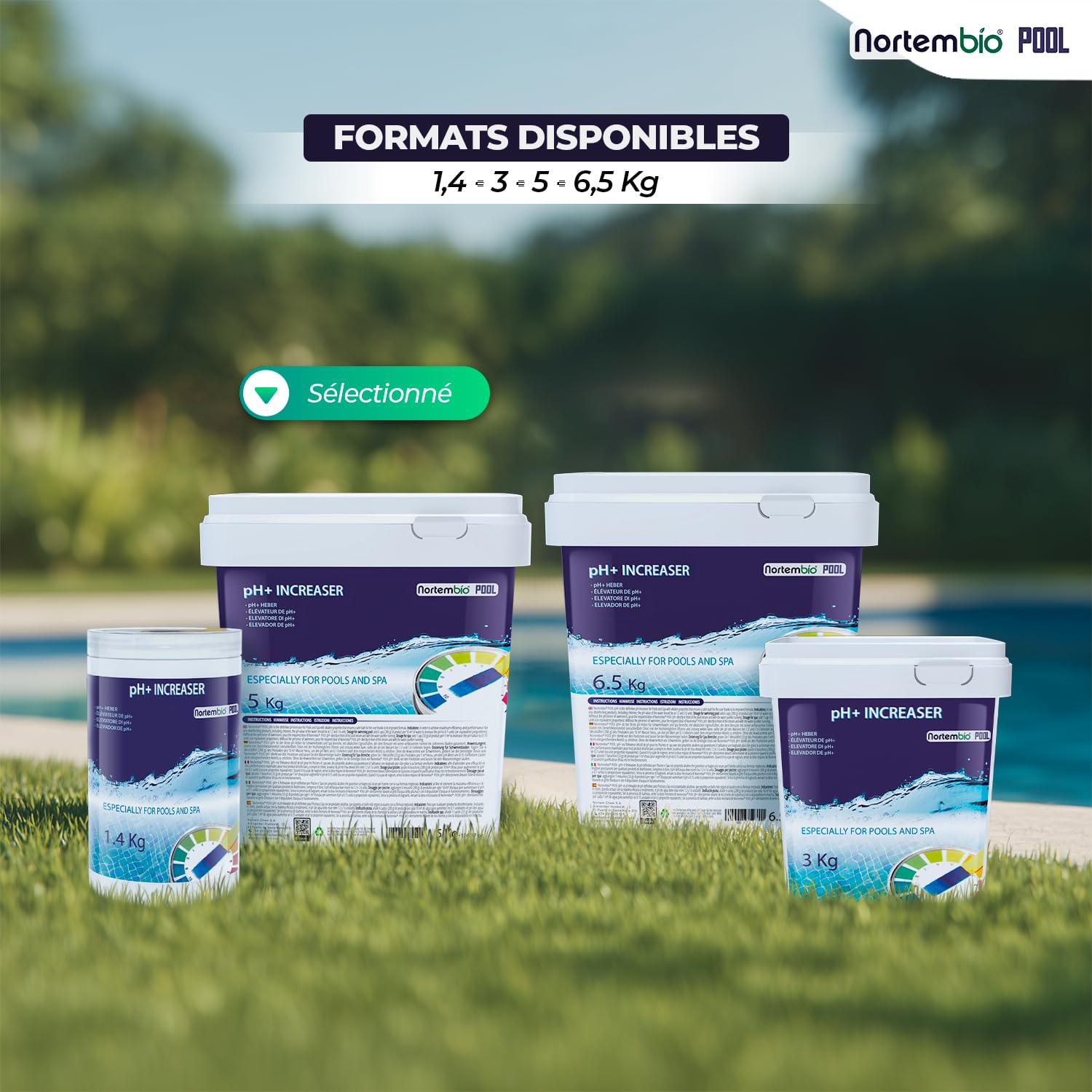 Nortembio pH Plus Piscine - Régulateur de pH pour piscines, 5 kg - pH+ Plus Piscine Naturel - Action Rapide et sûre - Une Eau cristalline + eBook Gratuit Contenant des Conseils de Professionnels