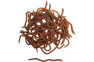 1.6in/3.3/3.9in Trout Worm, Grub Worm Fishing Soft Lure Bait