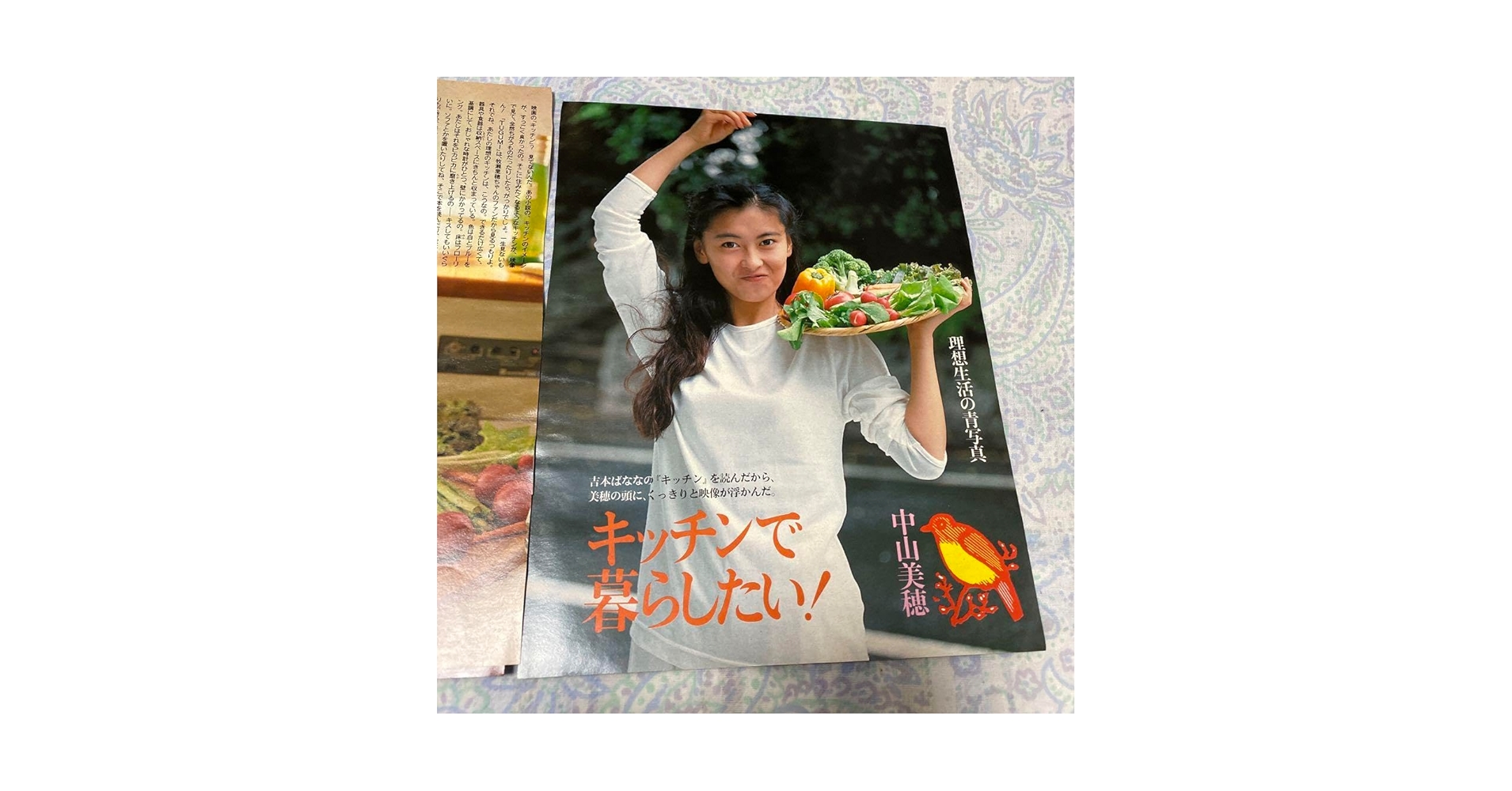 Amazon.co.jp: 中山美穂20歳の貴重な切り抜き超1990年