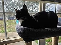 Review Image by Dustin Halbrooks Dustin Halbrooks