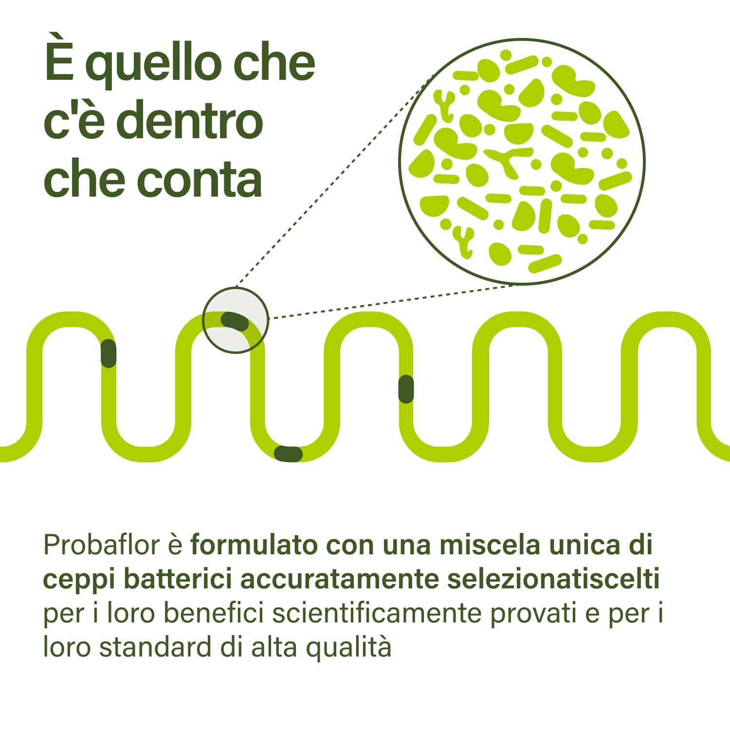 Nupure® Probaflor 110 capsule, con 20 miliardi di CFU, 11 ceppi batterici speciali, Con inulina e Lactobacillus salivarius SP2, Più protetto grazie allo speciale stagno, Vegano