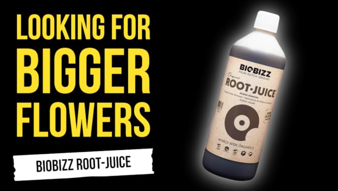 Amazon.com : Biobizz Root-Juice 250ml : Plant Germination