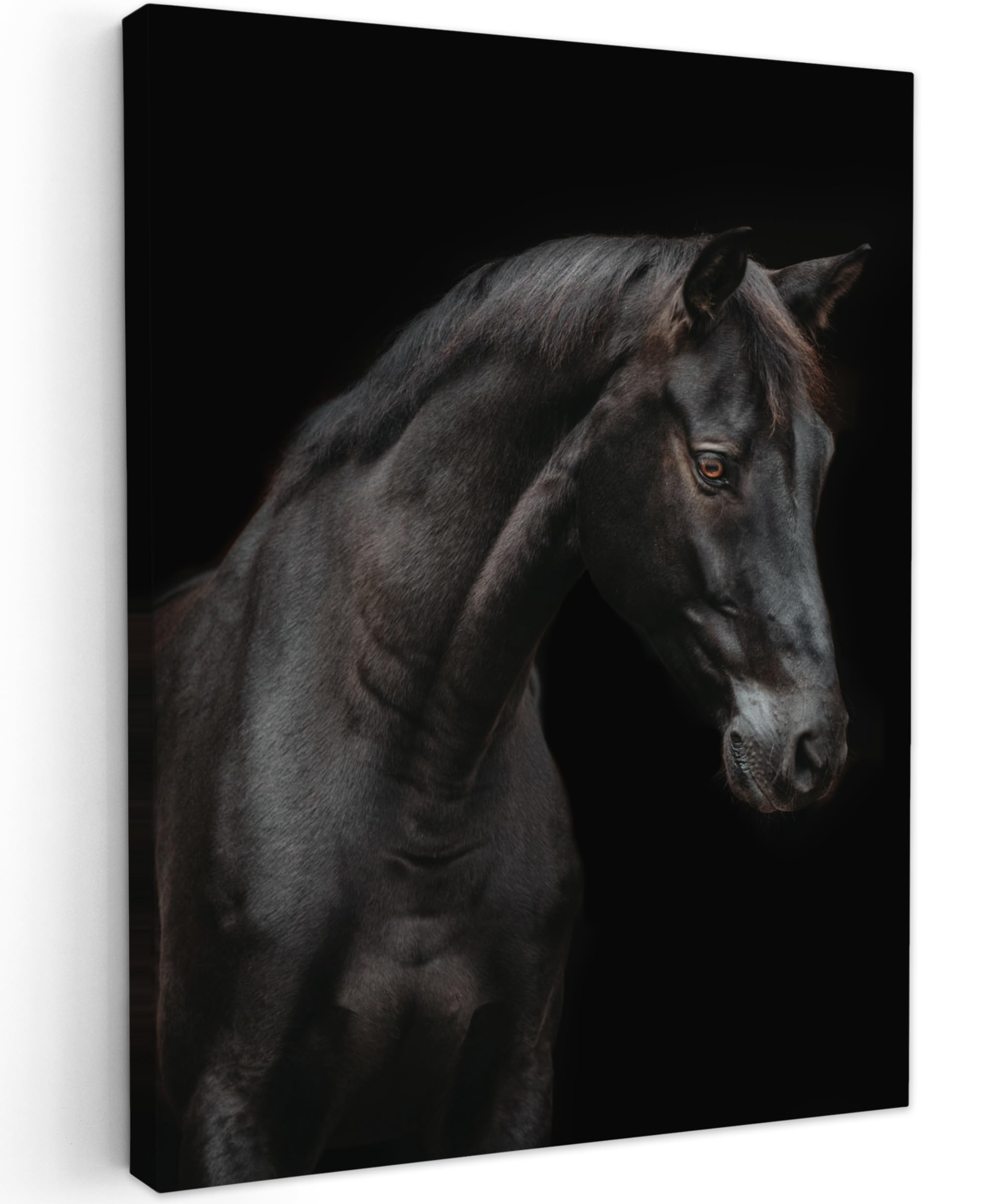 MuchoWow© Canvas Wall Art 24"x31" / 60x80 cm Decor Paintings Print framed on Canvas Pictures for Hallway Horse - Animals - Black - Portrait — image 1