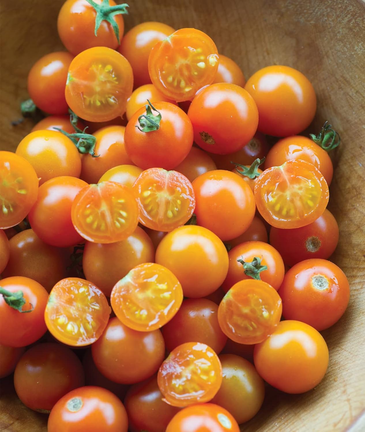 Burpee Sun Gold Hybrid Cherry Tomato Seeds - 30 Non-GMO, Sweet Golden-Orange Snack Tomatoes for Home Gardens