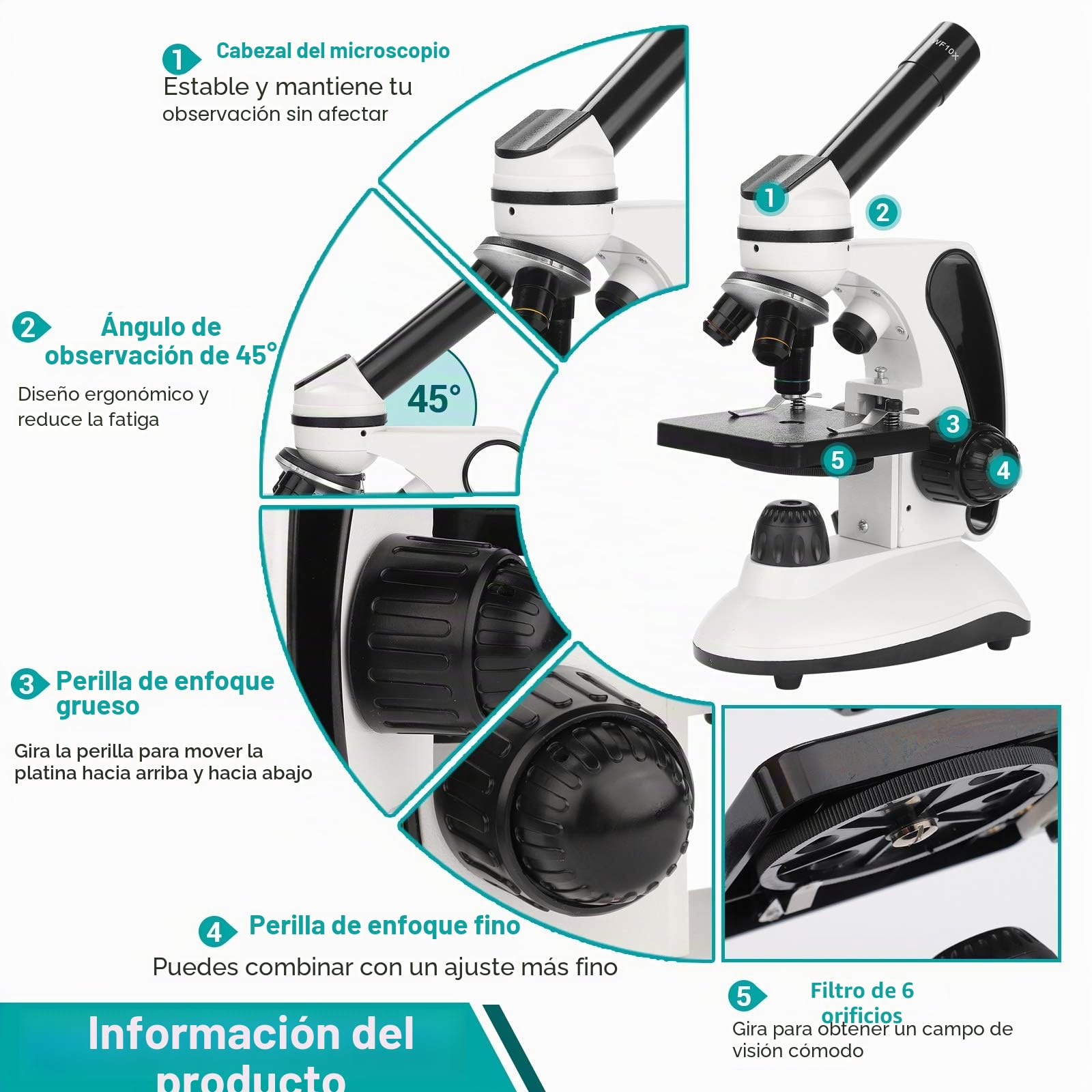 Microscopio para Niños 40X-2000X Microscopio Profesional, con Adaptador de Teléfono, Juego de Portaobjetos de Microscopio para Laboratorio Escolar, Hogar, Investigación Científica Biológica