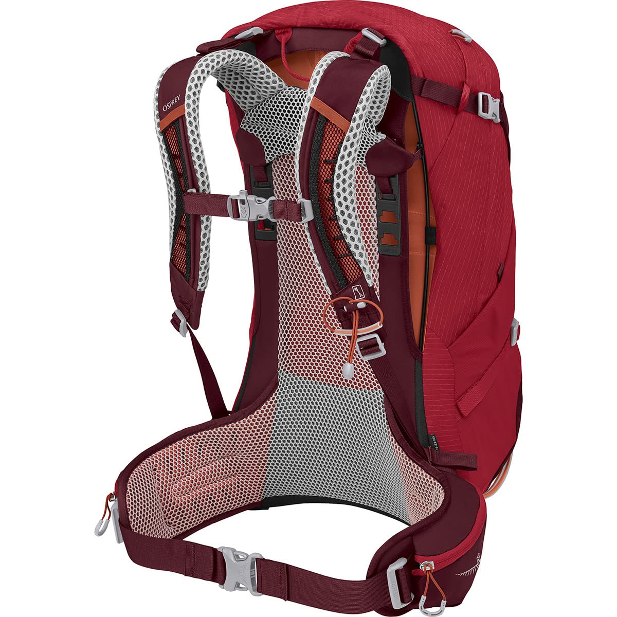 OSPREY ストラトス34 ポインセチアレッド 中古超美品 Amazon.co.jp: [オスプレー] バックパック リュックサック 34L