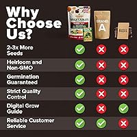 Vista 542 de HOME GROWN Semillas de diente de león para plantar 600 semillas de hierbas medicinales tradicionales (~ 0.01 oz) sin OMG cultivan hojas y flores