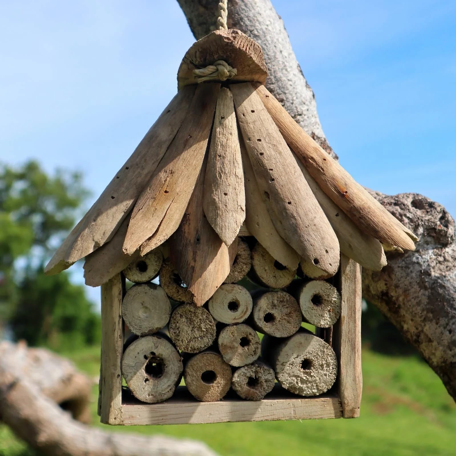 ECO INSECT HOTEL - pszczoła, owady i motyle. Dom i schronienie dla owadów ogród budka na gniazdo, Drewno