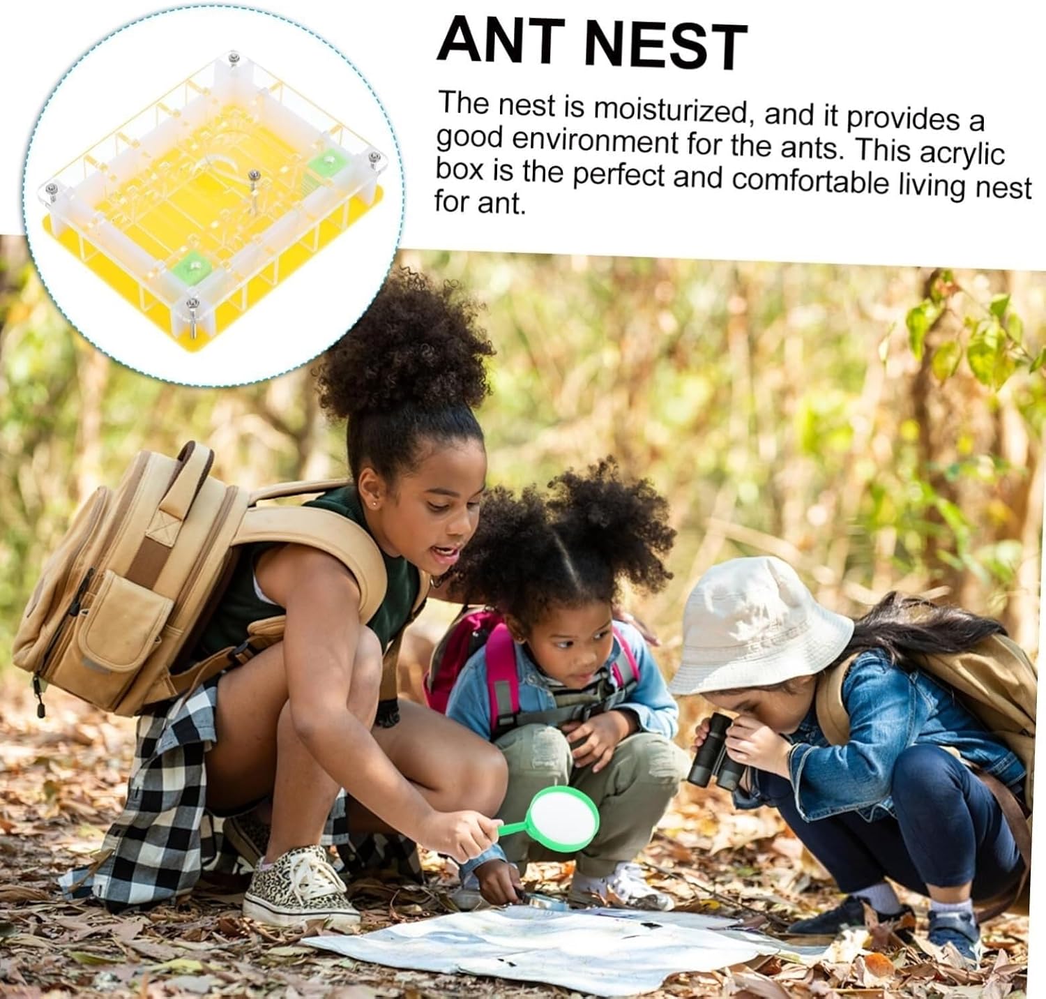 Ant Farm Ant Nest Pets Living Space Holder Farm Science Toy Observe Breeding Supplies Habitat