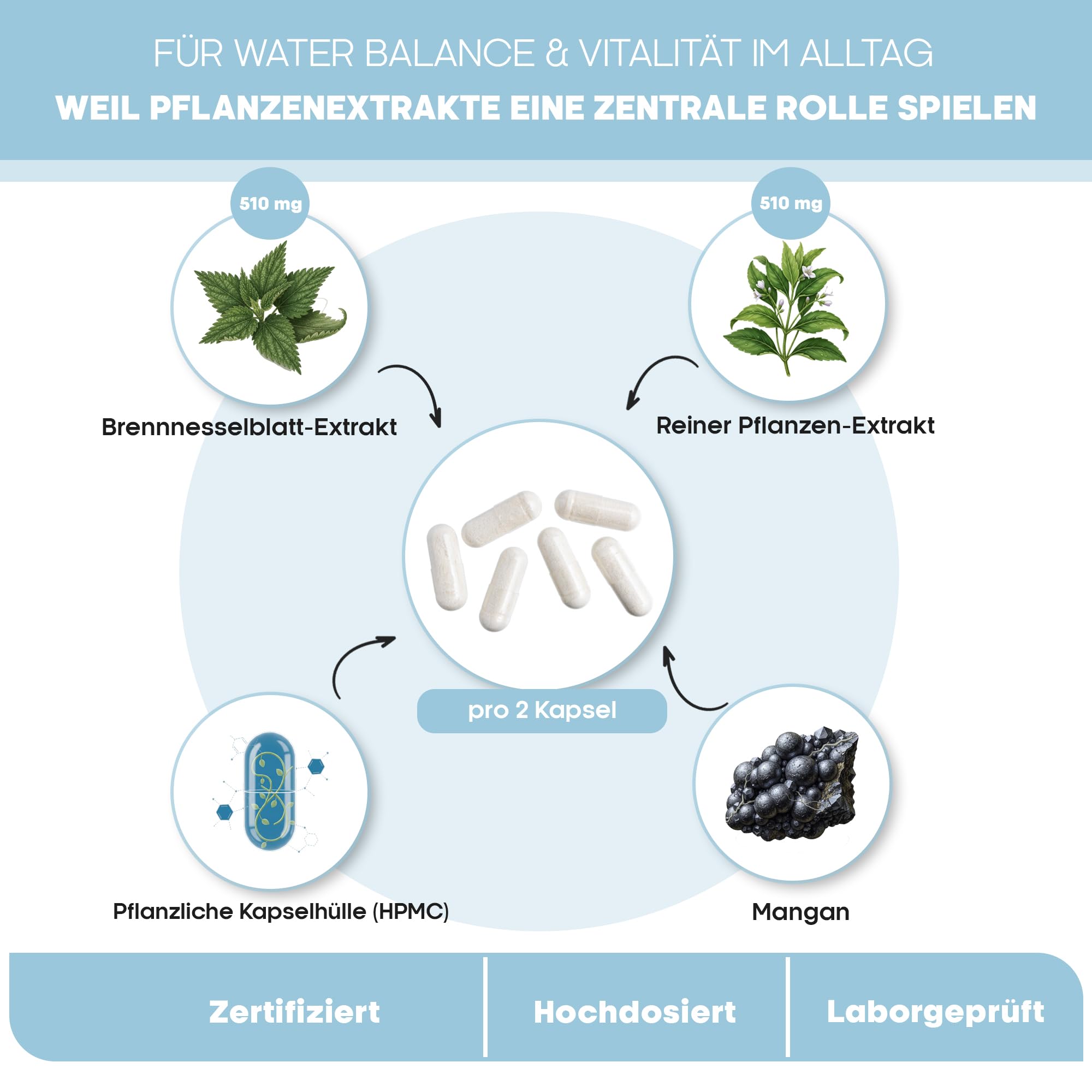 Aqua Balance Plus Kapseln – Pflanzenextrakt Komplex mit Brennnessel, Rotem Weinlaub & Rosskastanie – Magnesium & Mangan – Für Wassermanagement & Balance – 180 Kapseln – Laborgeprüft in Deutschland