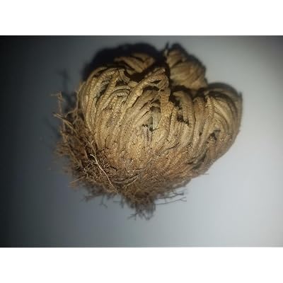 ubuy Haiti