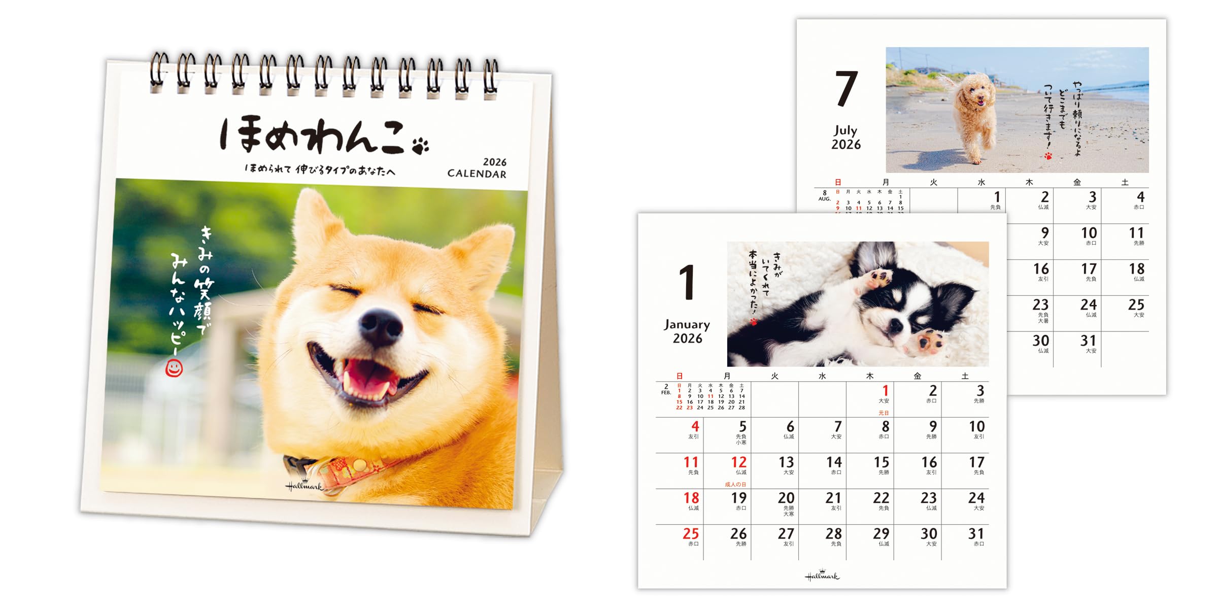 Amazon | ホールマーク 2026年 カレンダー 卓上 ほめわんこ 845544