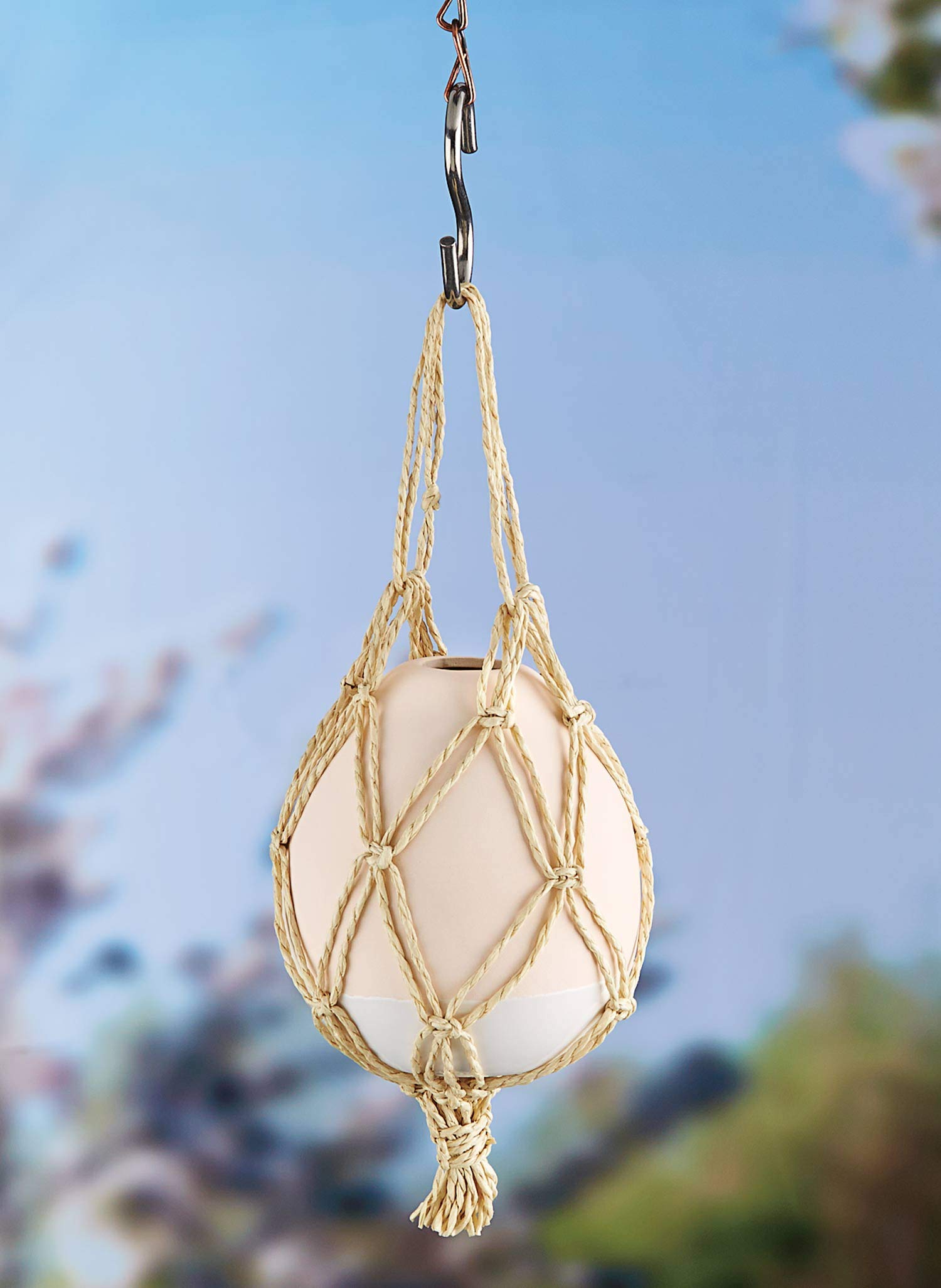 MOSQUITO DIFFUSER EGG