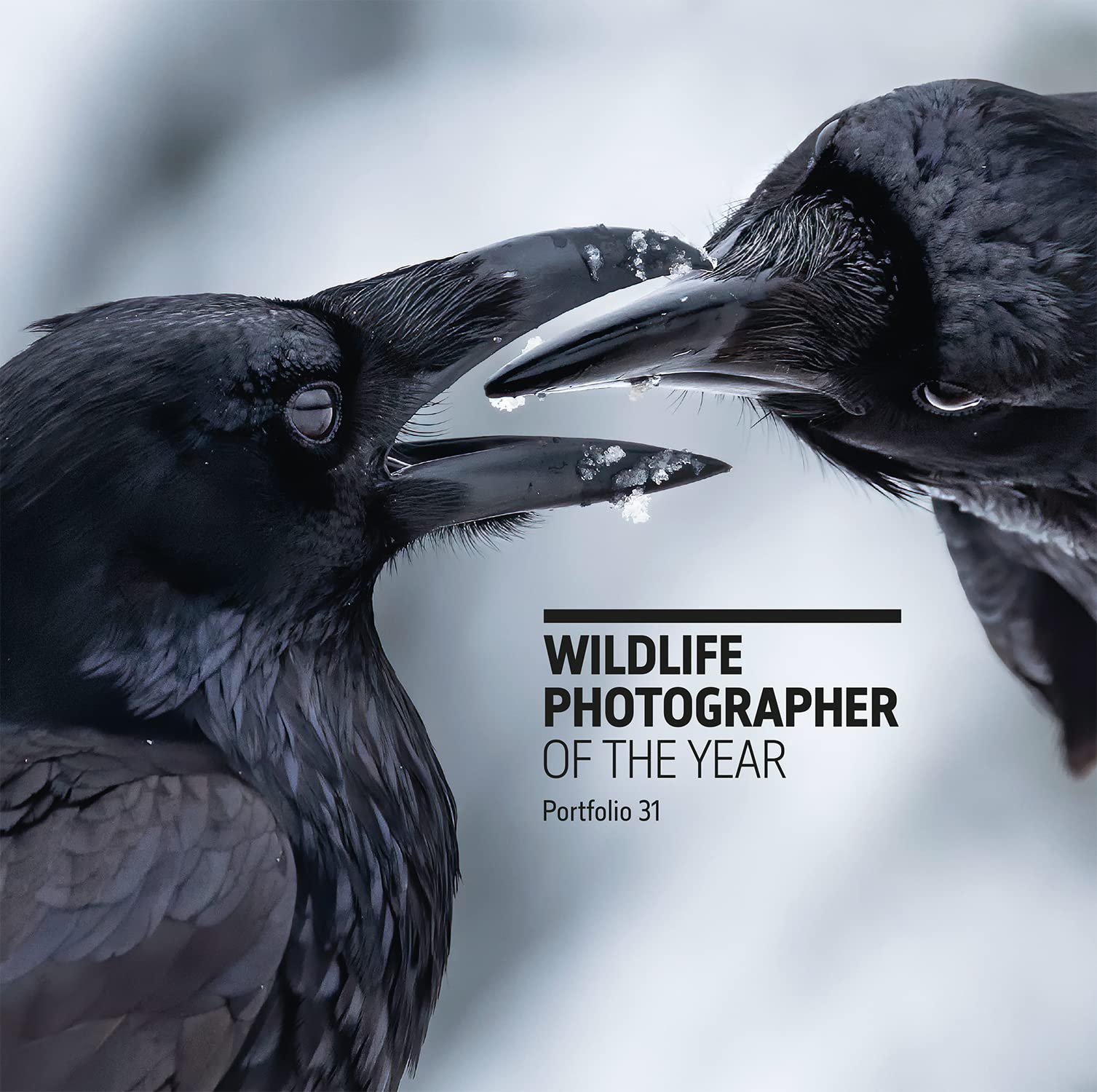 Hardie Grant Books Wildlife Photographer of the Year: Portfolio 31 Hardcover – Illustrated, 13 October 2021