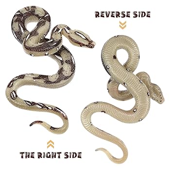 洋楽 Anonymous snake attack 7\
