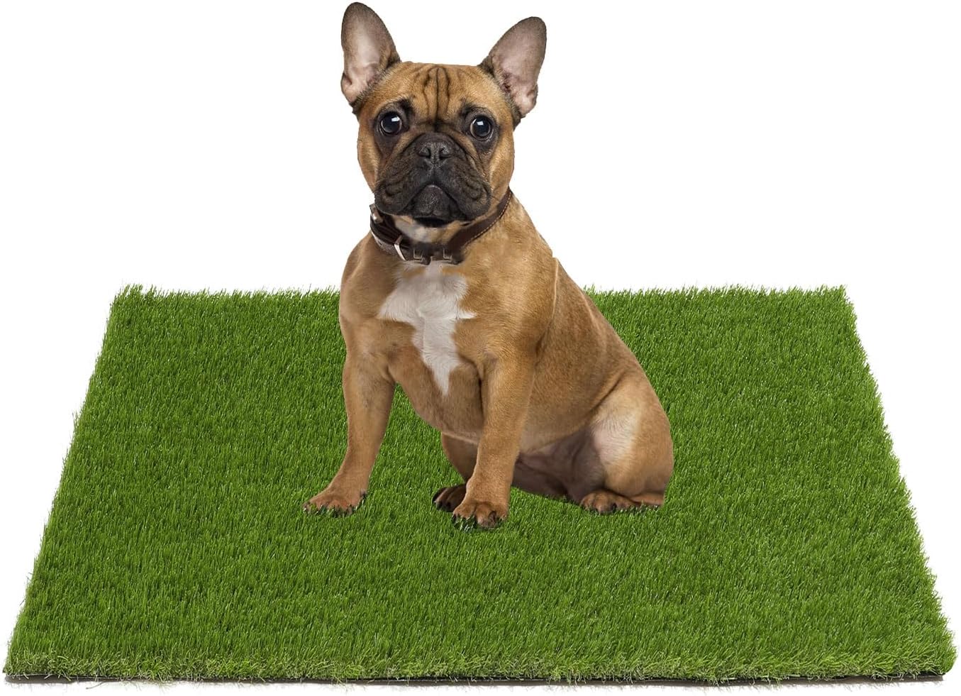 UUpet Dog Grass Pad with Tray 2 Pack Replaceable