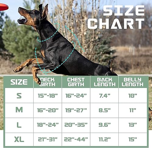 Miniatura 8 de BUMBIN Arnés para perros grandes sin tirones, arnés táctico para perro, con asa, arnés de chaleco ajustable para perro, correa elástica de 6 pies