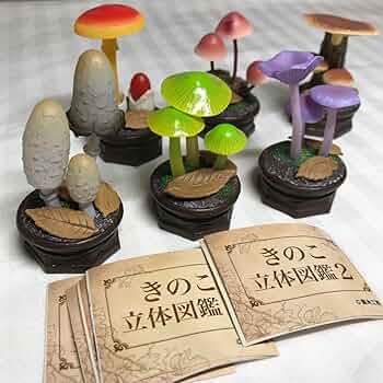 71pUq3CtRCL._AC_UF350,